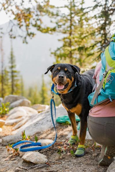 Ruffwear Switchbak Leash Blue Pool